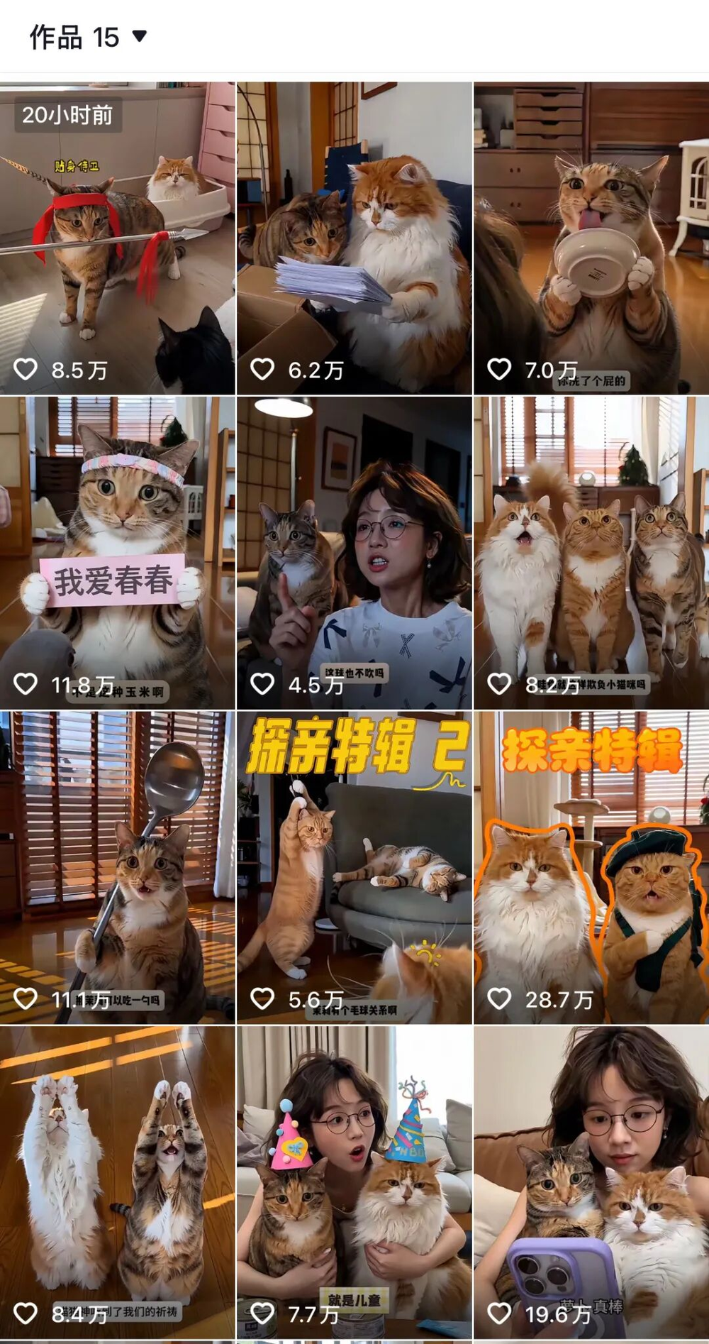 AI宠物视频示例