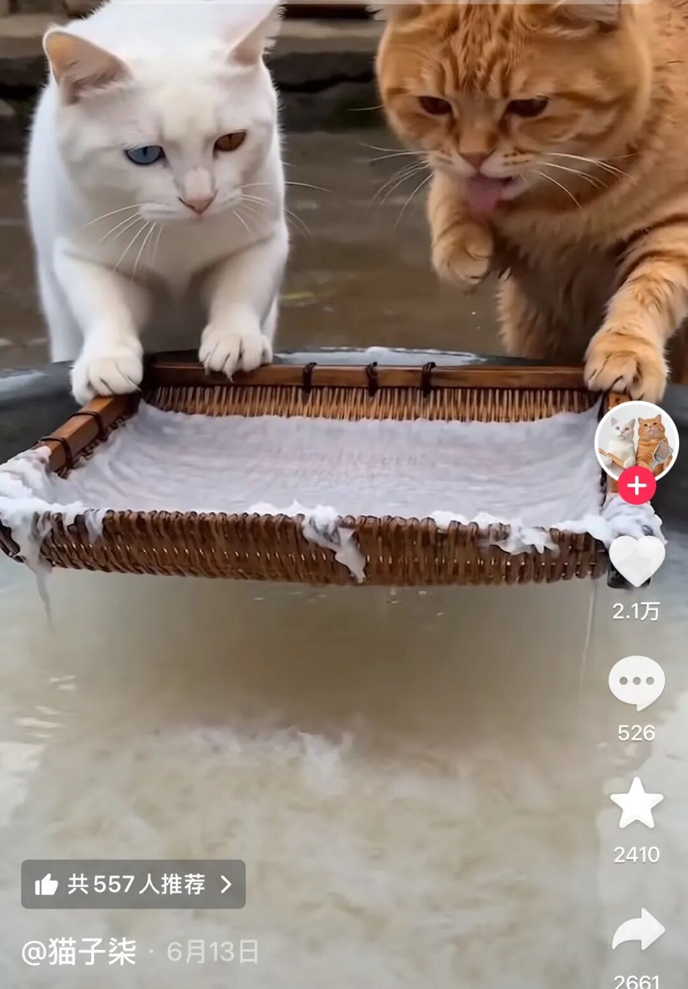 非遗主题AI宠物视频